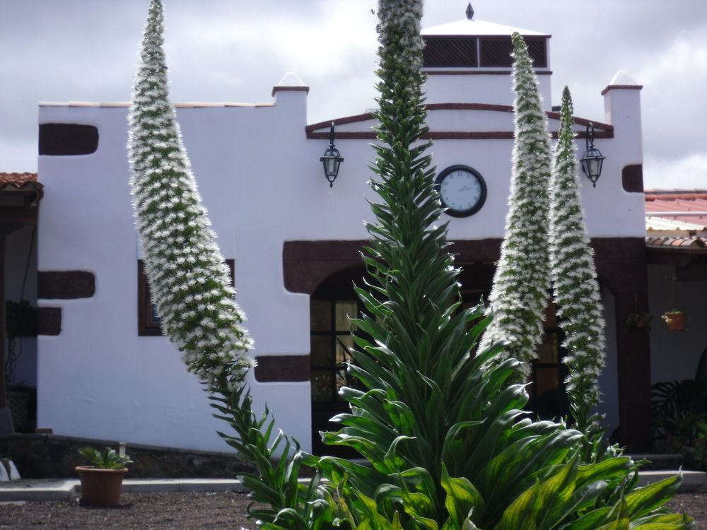 Finca El Picacho Hotel Valle de Guerra Exterior photo